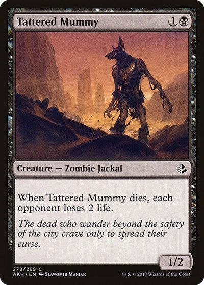 Tattered Mummy (AKH) #278 Common (Lightly Played) Amonkhet Magic: The Gathering: 2017