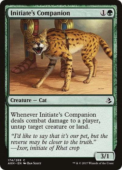 Initiates Companion (AKH) #174 Common (Lightly Played) Amonkhet Magic: The Gathering: 2017