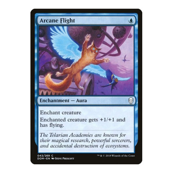 Arcane Flight (DOM) #43 Common (Lightly Played) Dominaria Magic: The Gathering: 2018