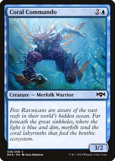 Coral Commando (RNA) #36 Common (Lightly Played) Ravnica Allegiance Magic: The Gathering: 2019