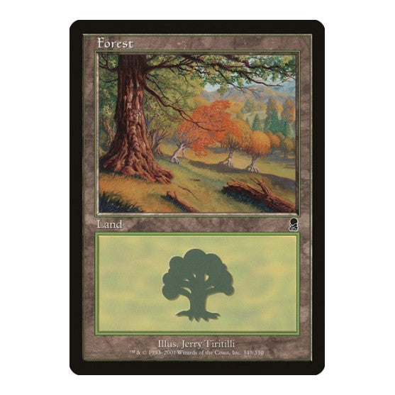 Forest (349) (ODY) #349 Land (Moderately Played) Odyssey Magic: The Gathering: 2001