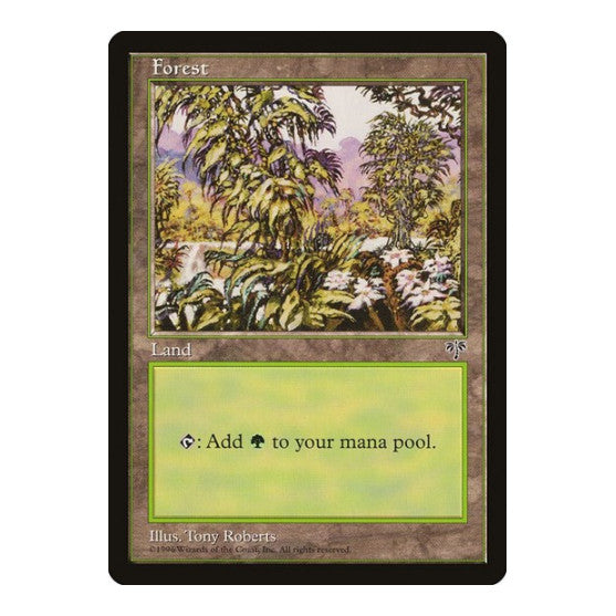 Forest White Flowers Right (MIR) #349 Land Mirage Magic: The Gathering: 1996
