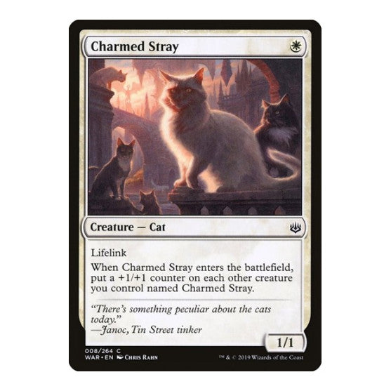 Charmed Stray (WAR) #8 Common (Lightly Played) War of the Spark Magic: The Gathering: 2019