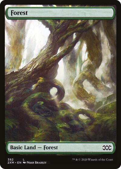 Forest 382 (2XM) #382 Land (Lightly Played) Double Masters Magic: The Gathering: 2020