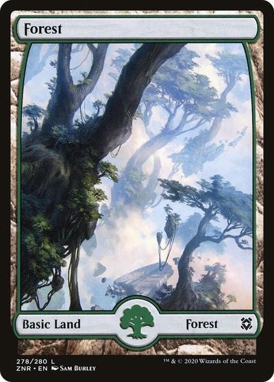 Forest 278 Full Art (ZNR) #278 Land (Lightly Played) Zendikar Rising Magic: The Gathering: 2020