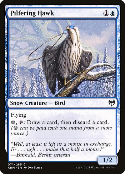 Pilfering Hawk (KHM) #71 Common (Lightly Played) Kaldheim Magic: The Gathering: 2021