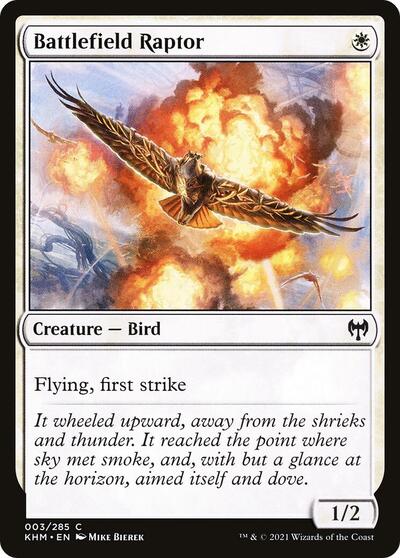 Battlefield Raptor (KHM) #3 Common (Moderately Played) Kaldheim Magic: The Gathering: 2021