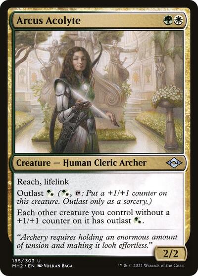 Arcus Acolyte (MH2) #185 Uncommon (Lightly Played) Modern Horizons 2 Magic: The Gathering: 2021