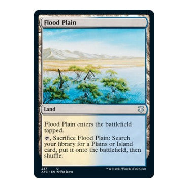 Flood Plain (AFC) #237 Uncommon (Lightly Played) Commander: Adventures in the Forgotten Realms Magic: The Gathering: 2021