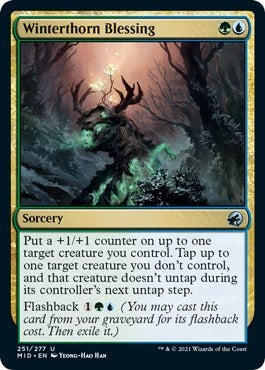 Winterthorn Blessing (MID) #251 Uncommon (Lightly Played) Innistrad: Midnight Hunt Magic: The Gathering: 2021