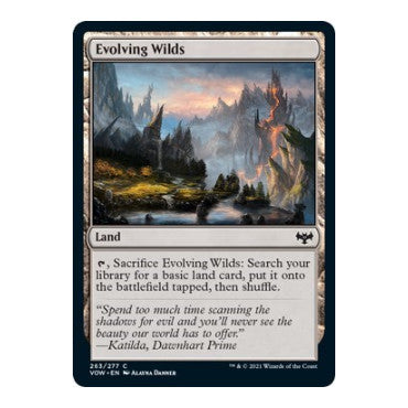 Evolving Wilds (VOW) #263 Common (Lightly Played) Innistrad: Crimson Vow Magic: The Gathering: 2021