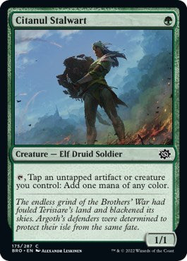 Citanul Stalwart (BRO) #175 Common The Brothers' War Magic: The Gathering: 2022