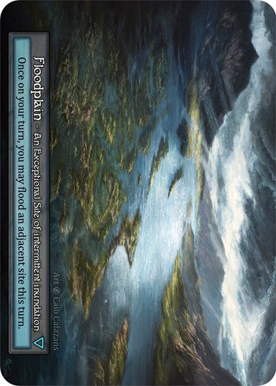Floodplain (B) Exceptional (Near Mint) Beta Sorcery: Contested Realm: 2023