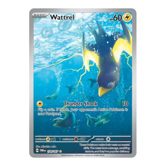 Wattrel 178 167 (TWM) #178/167 Illustration Rare (Holofoil Near Mint) SV06: Twilight Masquerade Pokemon: 2024