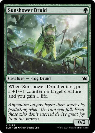 Sunshower Druid (BLB) #195 Common (Lightly Played) Bloomburrow Magic: The Gathering: 2024