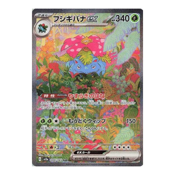 Venusaur ex 200 165 (SV2a) #200/165 Special Art Rare (Holofoil Near Mint) SV2a: Pokemon Card 151 Pokemon Japan: 2023