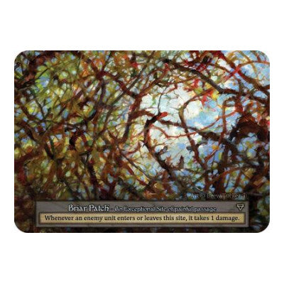 Briar Patch (ART) Exceptional (Lightly Played) Arthurian Legends Sorcery: Contested Realm: 2024