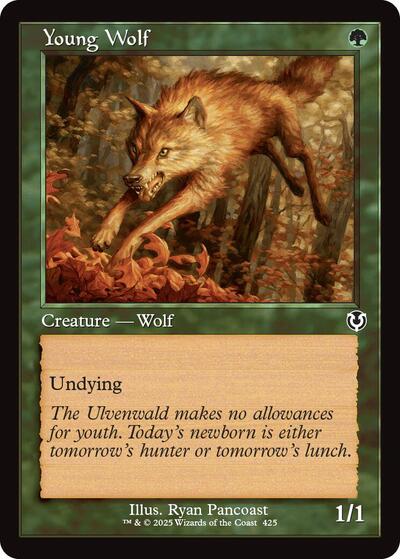 Young Wolf Retro Frame (INR) #425 Common (Lightly Played) Innistrad Remastered Magic: The Gathering: 2025
