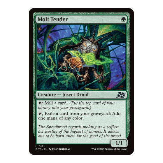 Molt Tender (DFT) #171 Uncommon (Lightly Played) Aetherdrift Magic: The Gathering: 2025