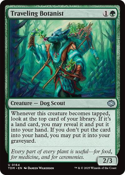 Traveling Botanist (TDM) #164 Uncommon (Lightly Played) Tarkir: Dragonstorm Magic: The Gathering: 2025