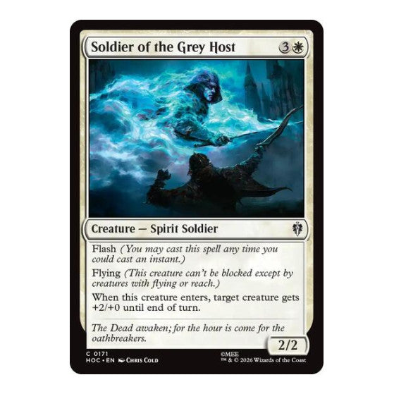 Soldier of the Grey Host (HOC) #171 Common (Lightly Played) The Hobbit: Eternal-Legal Magic: The Gathering: 2026