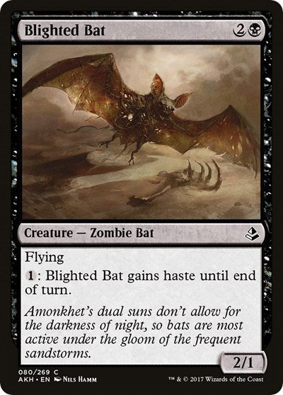 Blighted Bat (AKH) #80 Common (Lightly Played) Amonkhet Magic: The Gathering: 2017