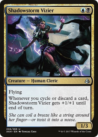 Shadowstorm Vizier (AKH) #206 Uncommon (Lightly Played) Amonkhet Magic: The Gathering: 2017