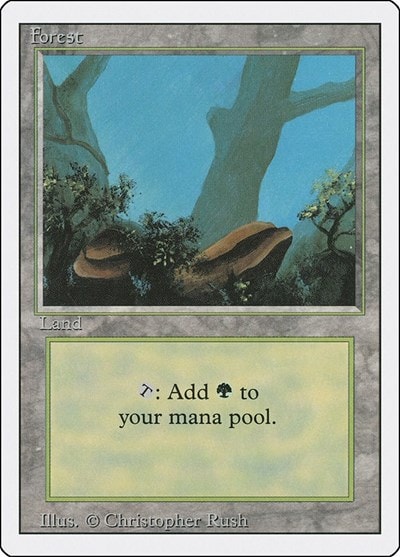 Forest (A) (3ED) #284 Land Revised Edition Magic: The Gathering: 1994