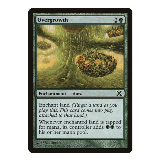 Overgrowth (10E) #283 Common (Lightly Played) 10th Edition Magic: The Gathering: 2007