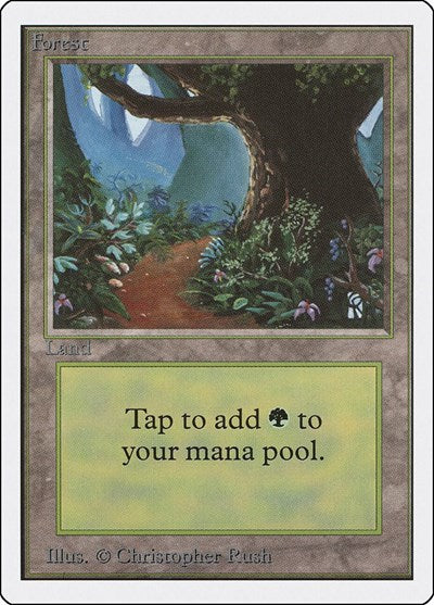 Forest B (2ED) #301 Land (Heavily Played) Unlimited Edition Magic: The Gathering: 1993