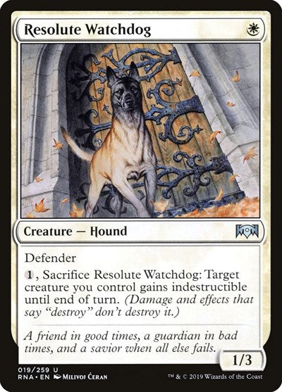 Resolute Watchdog (RNA) #19 Uncommon (Lightly Played) Ravnica Allegiance Magic: 2019