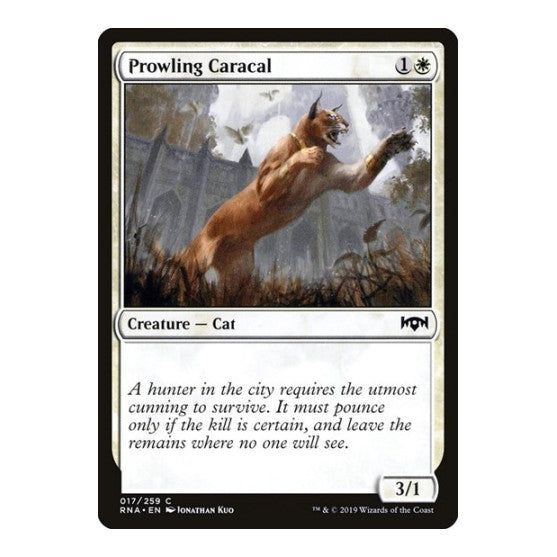 Prowling Caracal (RNA) #17 Common (Lightly Played) Ravnica Allegiance Magic: The Gathering: 2019