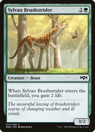 Sylvan Brushstrider (RNA) #144 Common (Lightly Played) Ravnica Allegiance Magic: The Gathering: 2019