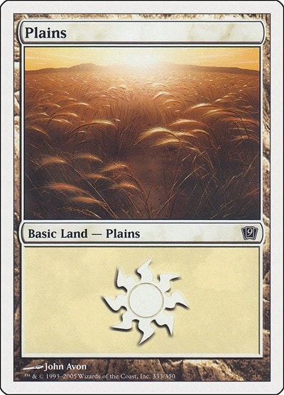 Plains (333) (9ED) #333 Land 9th Edition Magic: The Gathering: 2005