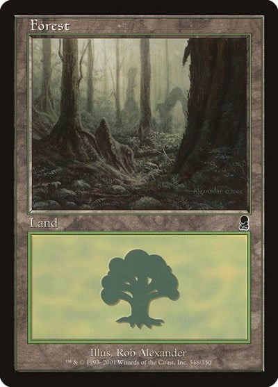 Forest 348 (ODY) #348 Land (Lightly Played) Odyssey Magic: The Gathering: 2001