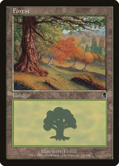 Forest 349 (ODY) #349 Land (Moderately Played) Odyssey Magic: The Gathering: 2001