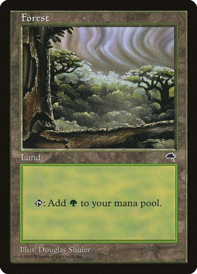 Forest Cloudy (TMP) #349 Land (Lightly Played) Tempest Magic: The Gathering: 1997