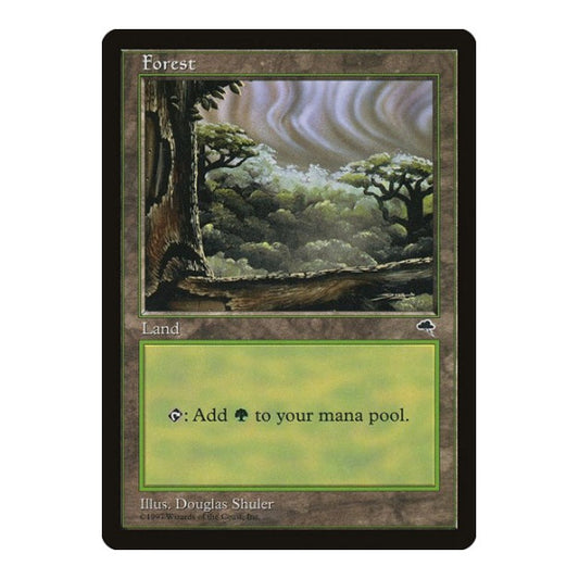 Forest (Cloudy) (TMP) #349 Land (Lightly Played) Tempest Magic: The Gathering: 1997