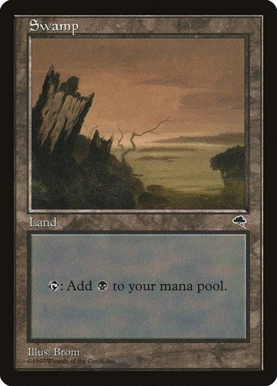 Swamp Vertical Log (TMP) #339 Land (Moderately Played) Tempest Magic: The Gathering: 1997