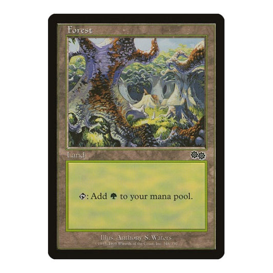 Forest (348) (USG) #348 Land (Moderately Played) Urza's Saga Magic: The Gathering: 1998