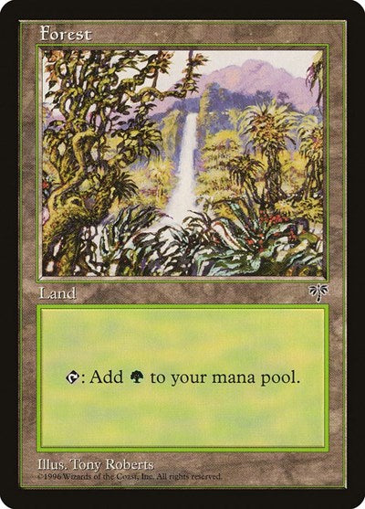 Forest Waterfall (MIR) #348 Land (Lightly Played) Mirage Magic: The Gathering: 1996