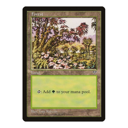 Forest (Red Tree Leaves) (MIR) #350 Land Mirage Magic: The Gathering: 1996