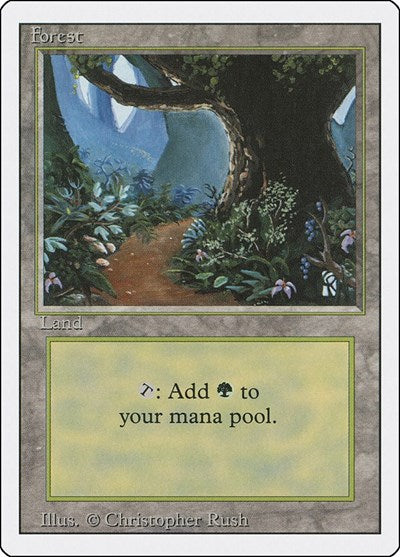 Forest B (3ED) #305 Land (Heavily Played) Revised Edition Magic: The Gathering: 1994