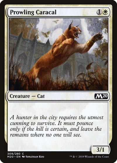 Prowling Caracal (M20) #309 Common (Lightly Played) Core Set 2020 Magic: The Gathering: 2019