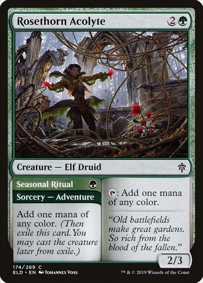 Rosethorn Acolyte (ELD) #174 Common (Lightly Played) Throne of Eldraine Magic: The Gathering: 2019
