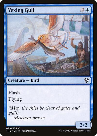 Vexing Gull (THB) #79 Common (Foil Lightly Played) Theros Beyond Death Magic: The Gathering: 2020