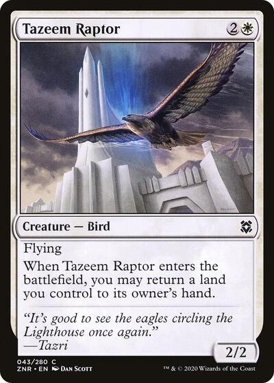 Tazeem Raptor (ZNR) #43 Common (Lightly Played) Zendikar Rising Magic: The Gathering: 2020