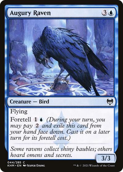 Augury Raven (KHM) #44 Common Kaldheim Magic: The Gathering: 2021