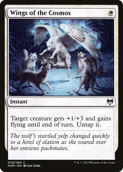 Wings of the Cosmos (KHM) #39 Common (Lightly Played) Kaldheim Magic: 2021