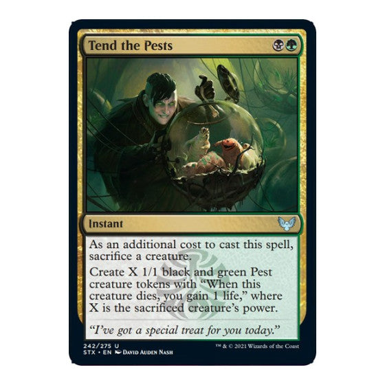 Tend the Pests (STX) #242 Uncommon (Lightly Played) Strixhaven: School of Mages Magic: The Gathering: 2021